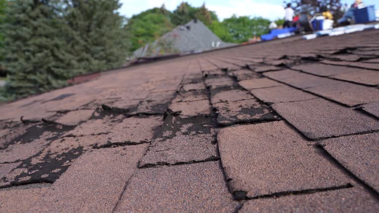 Best Hot Roofs  in Defiance, OH