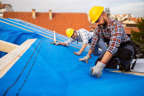 Best Roof Ventilation Installation  in Defiance, OH