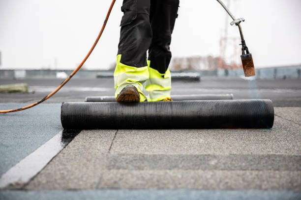 Best Gutter Replacement  in Defiance, OH