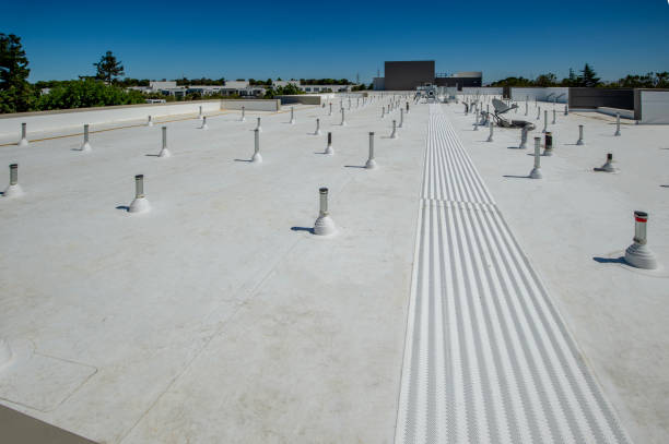 Best Roof Leak Repair  in Defiance, OH